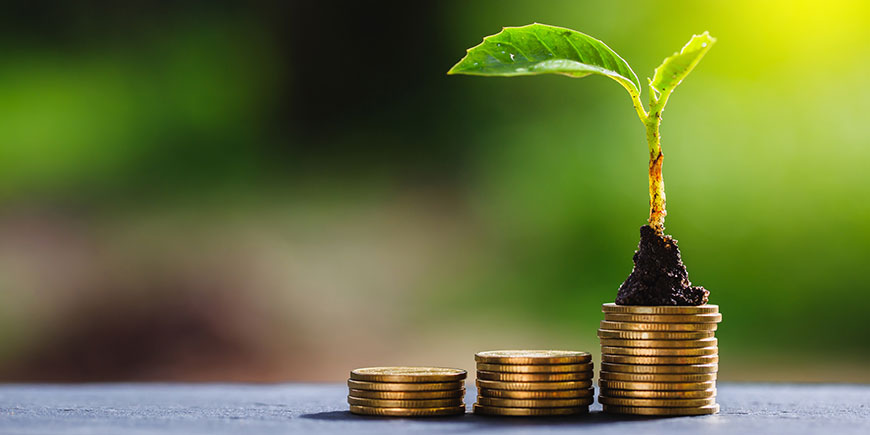 Return on investment concept and saving money Seedling on a blurred natural background Di photosky99