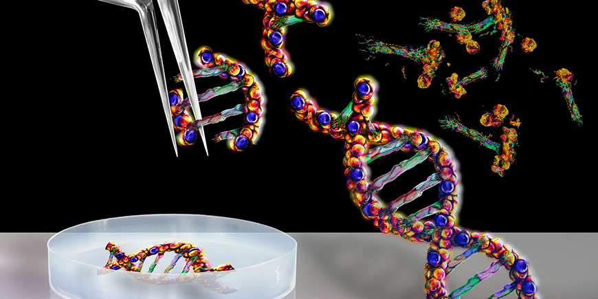 La tecnologia Crispr @Shutterstock